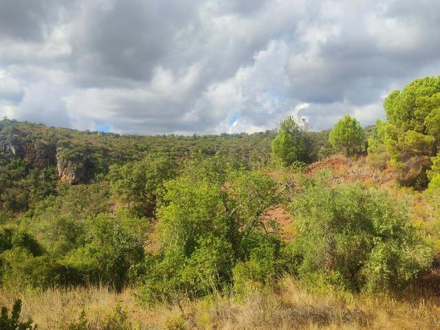 Terrenos com 3120 m2 em Fonte da Benémola Querença Loulé