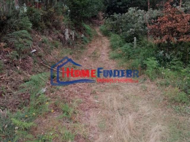 Terrenos com aprox. 2.490 m2 Monção