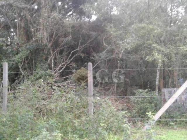 Terrenos com Matrícula no Horto Itapuã
