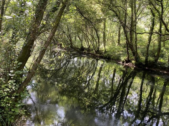 Terrenos com potencial para desenvolvimento do turismo rural, Forjães, Esposende