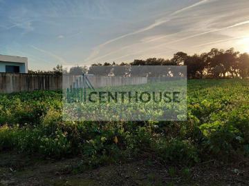Terrenos Coimbra Cantanhede 3060 DS99558517