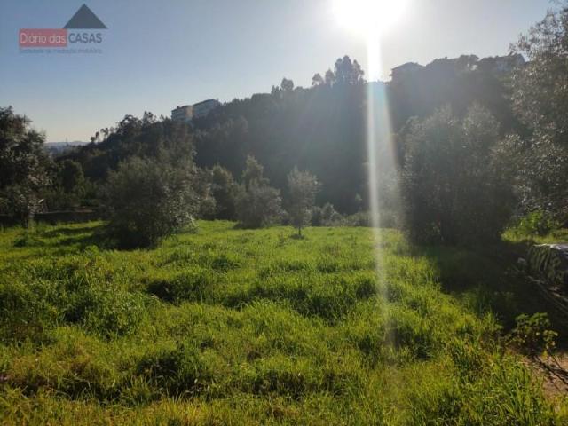 Terrenos Coimbra Coimbra DS96563753