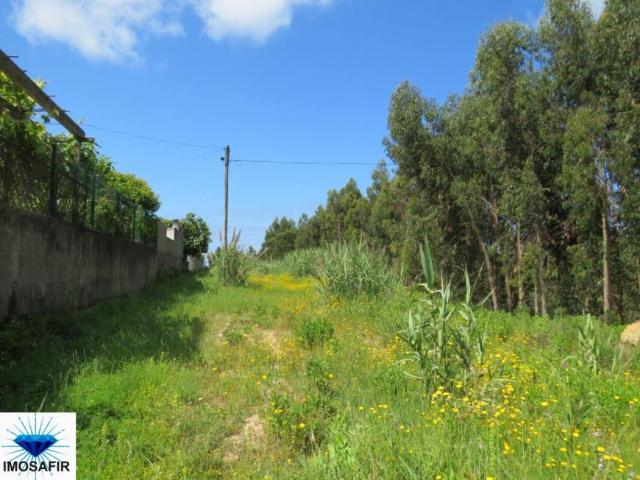 Terrenos Coimbra Figueira da Foz 3080 DS98918406