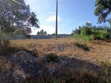Terrenos Coruche Santarem DS94577682
