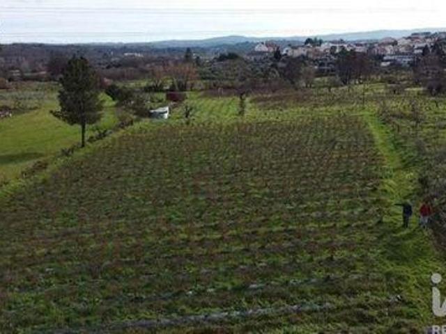 Terrenos Covilha Castelo Branco DS98864162