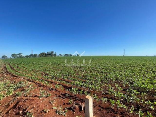 Terrenos de 5.000 m² em Tupinambá