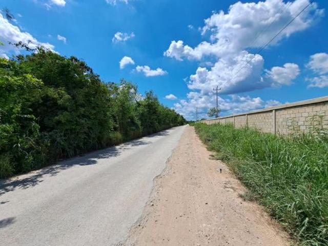 Terrenos de 1 Ha en Campolindo, Tehuitz Kanasin, Yucatan 4