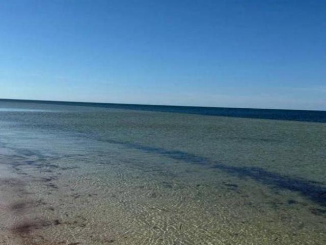 Terrenos de Playa, en venta
