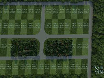 Terrenos desde 1,000 m2 en Villa Venado Seyé Yucatán