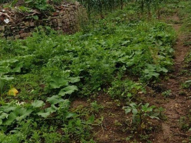 Terrenos Diversos para venda em Suzano SP
