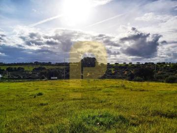 Terrenos Elvas Elvas DS88755743