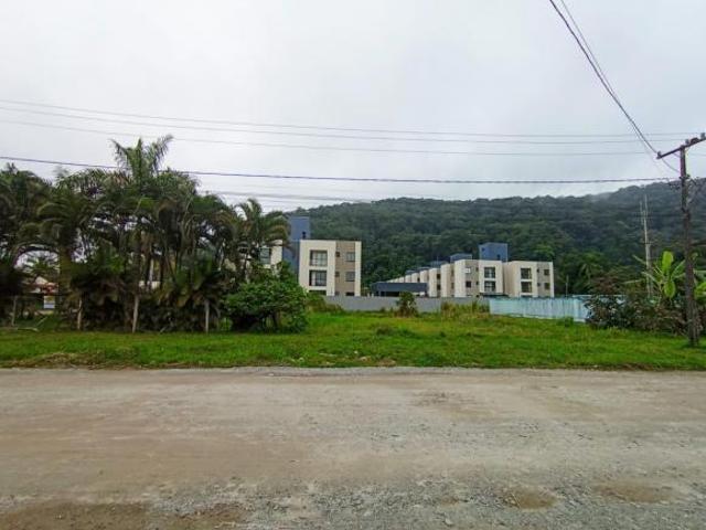 Terrenos em Caiobá com área total 1.176,00 m²