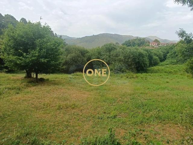 Terrenos em Carvalheira
