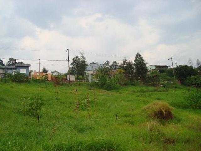 Terrenos em Loteamento na Boa Saúde