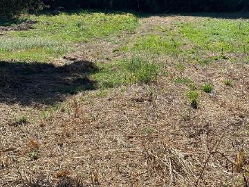 Terrenos com viabilidade construtiva em Pipa Vila Cã, Pombal