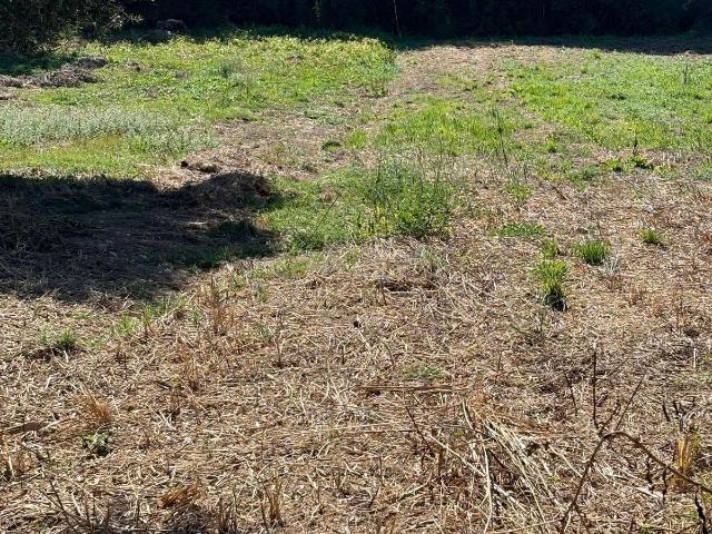 Terrenos com viabilidade construtiva em Pipa Vila Cã, Pombal