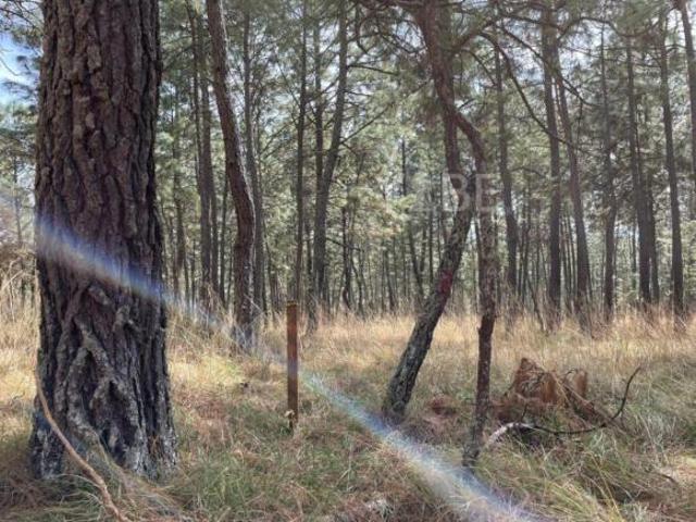 Terrenos en venta Campestre