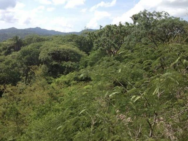 Terrenos en Venta Club Sayulita