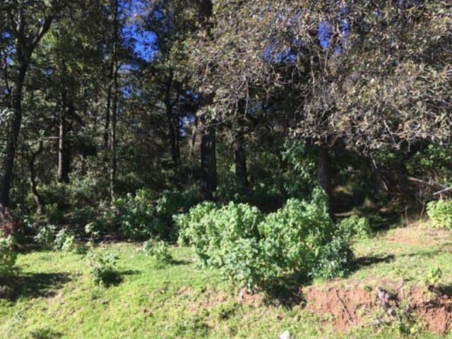 Terrenos en Venta en Tlazala de Fabela Estado de M?xico