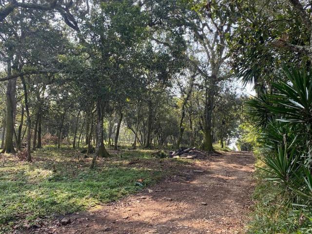 Terrenos en Venta en Xalapa Colonia M?rtires de Chicago, zona colonia Santa Rosa