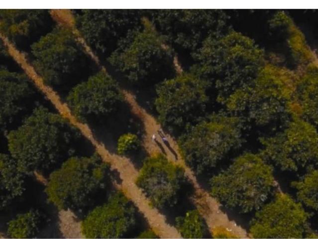 TERRENOS EN VENTA EN ALLENDE