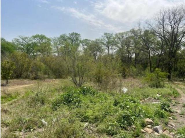 TERRENOS EN VENTA EN ALLENDE
