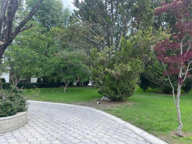 TERRENOS EN VENTA EN CAMINO A SAN MARTINITO