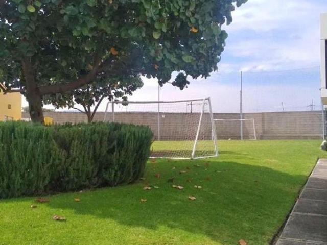 Terrenos en venta en Campestre Zapopan, COTO SÉNECA 115 m²
