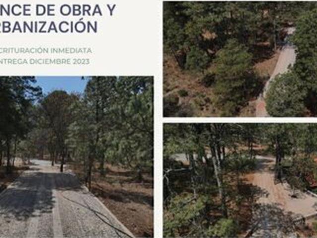 TERRENOS EN VENTA EN CARDOSANTO TAPALPA