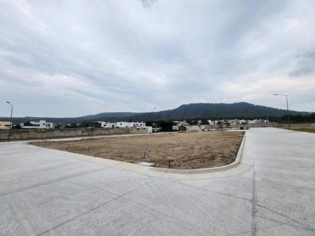 TERRENOS EN VENTA EN COTO OLMOS | ROBLES