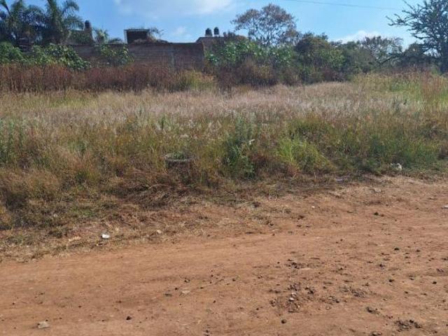 TERRENOS EN VENTA, EN EL ZALATE, EL SALTO, JALISCO