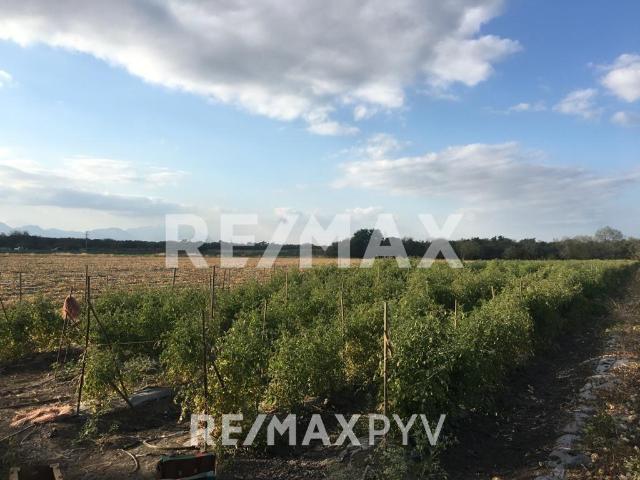 Terrenos en Venta en el Palmito, Allende. 7697