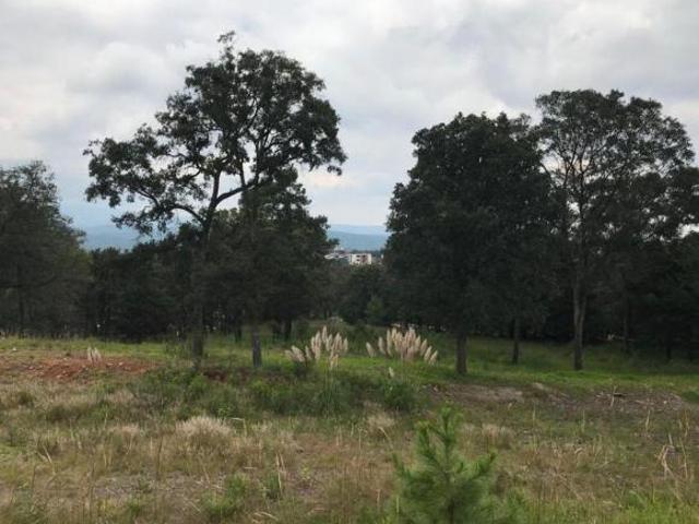 Terrenos en VENTA en Jilotzingo