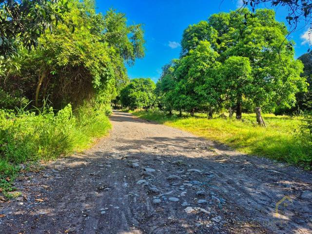 Terrenos en Venta en La Esperanza Actopan Veracruz