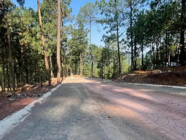 TERRENOS EN VENTA EN MAZAMITLA