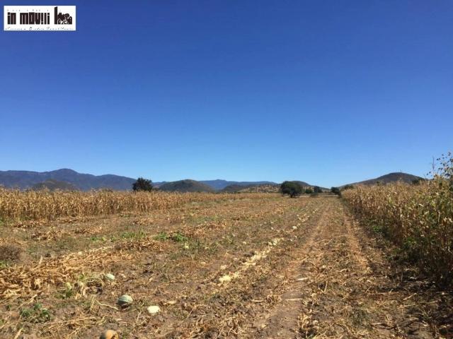 TERRENOS EN VENTA EN OAXACA, ZONA TLACOCHAGUAYA, TLACOLULA