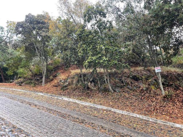 Terrenos en Venta en Pinar de la venta