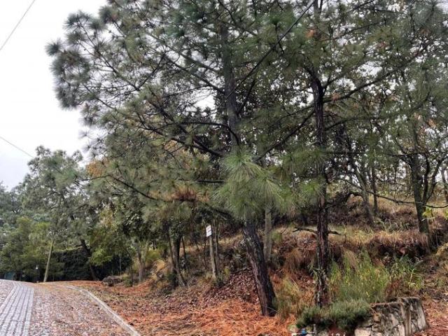 Terrenos en Venta en Pinar de la venta