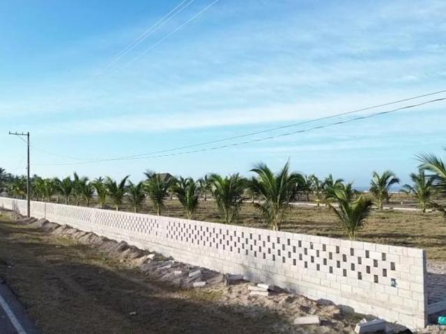 Terrenos en Venta en playa Novillero Nayarit