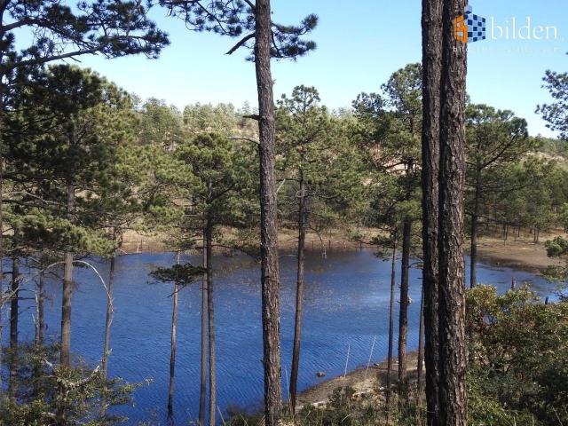 Terrenos en Venta en Residencial Campestre Bosques Peregrino Durango