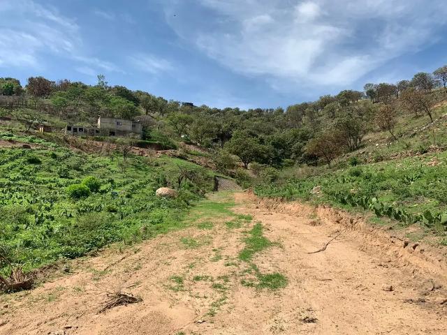 TERRENOS EN VENTA EN SAN ESTEBAN