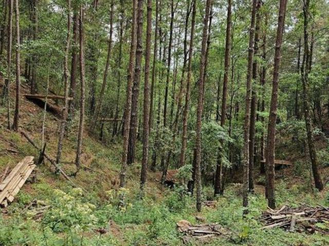 TERRENOS EN VENTA EN SAN JOSÉ DEL PACIFICO OAXACA