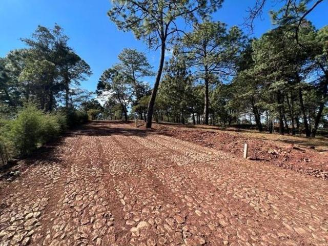 TERRENOS EN VENTA FRACCIONAMIENTO BOSQUE REAL MAZAMITLA JALI