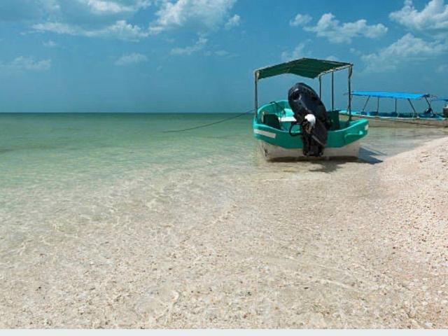 Terrenos en venta frente al Mar, Celest?n de Diferentes ML, en El Palmar