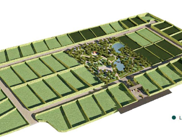 Terrenos en Venta, Montemorelos