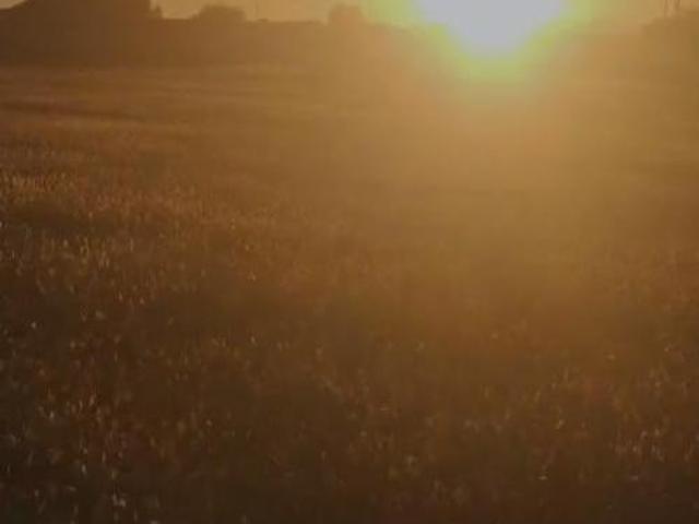TERRENOS EN VENTA MUNICIPIO EL LLANO AGUASCALIENTES