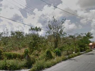 TERRENOS EN VENTA O RENTA EN COZUMEL CALLE 2 NTE CON 75 AV