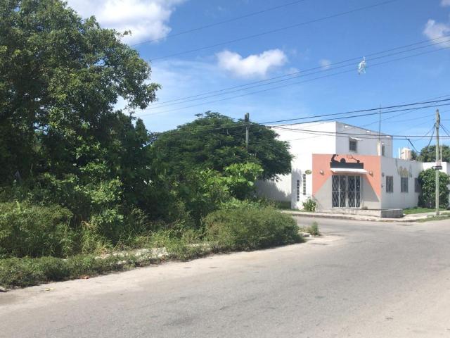 TERRENOS EN VENTA O RENTA EN COZUMEL CALLE 2 NTE CON 75 AV
