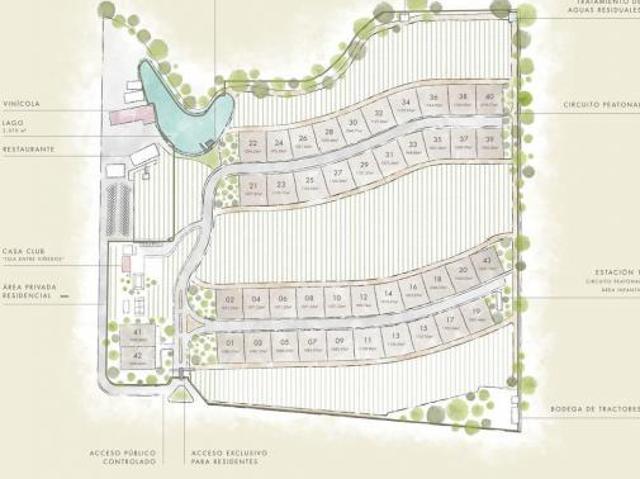 TERRENOS EN VENTA RESIDENCIAL CON VIÑEDO EN AGUASCALIENTES AMK