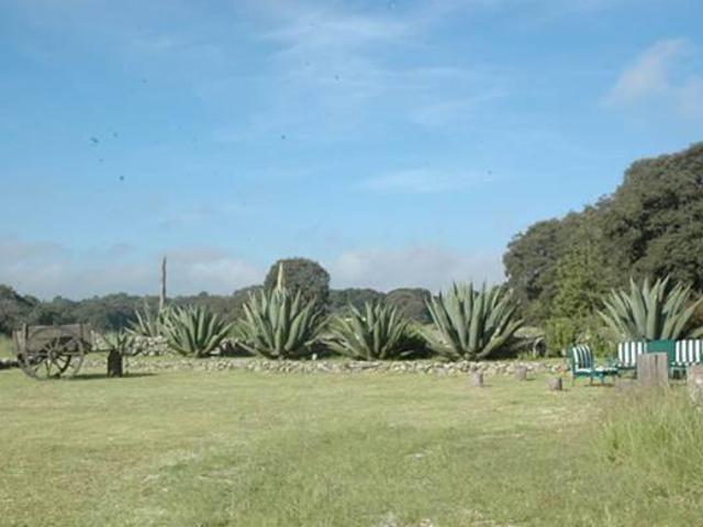 TERRENOS EN CONDOMINIO RESIDENCIAL DE BOSQUE LOS ENCINOS DE JILOTEPEC